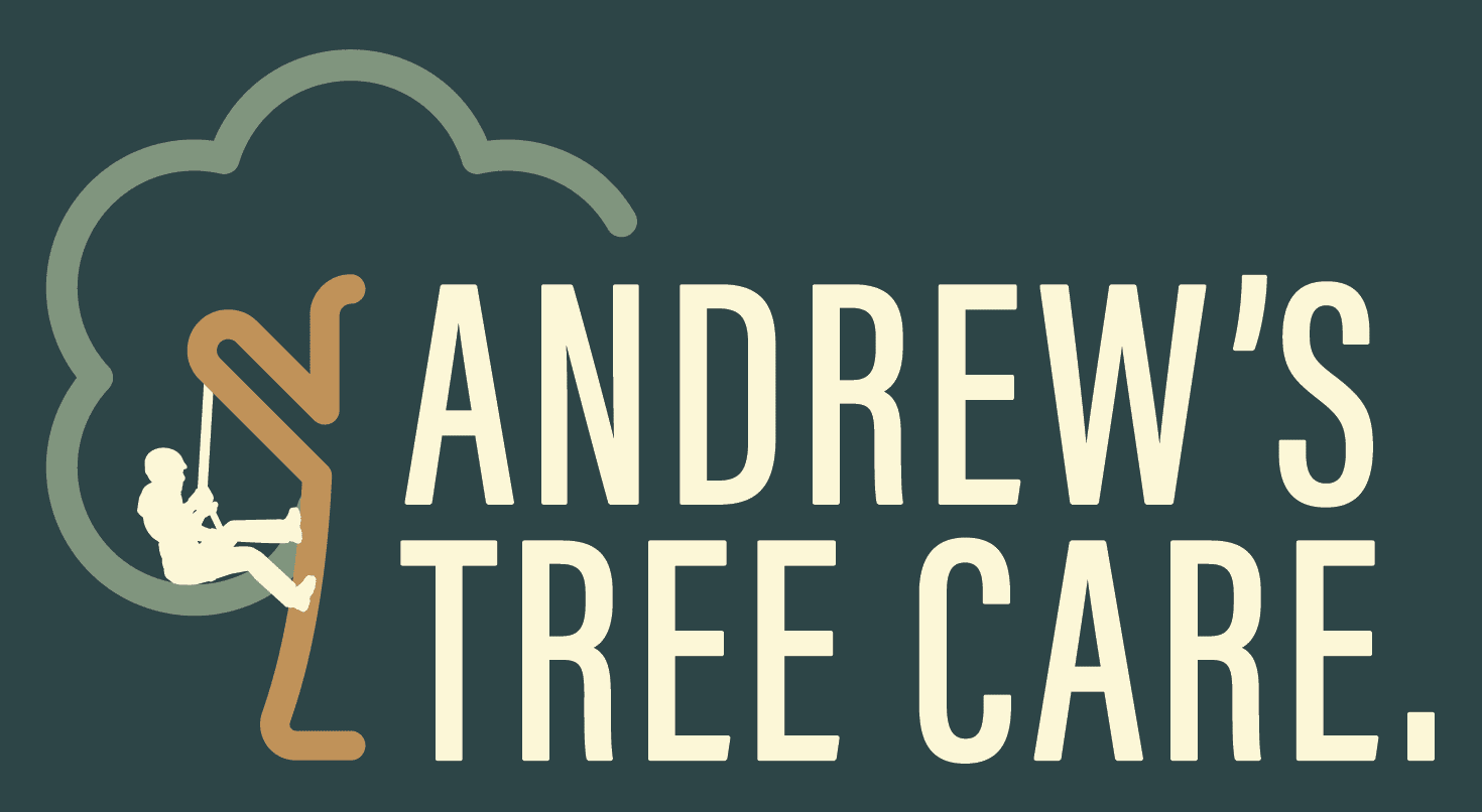 Logo of "Andrew's Tree Care" featuring a climber on a stylized tree on dark green background.